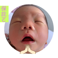 媽祖的金孫