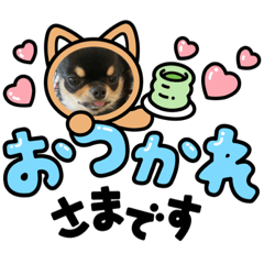 yuto_20211127103023