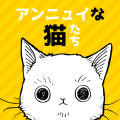 Annui cats