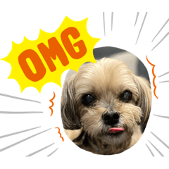 tomomi_20211127161017