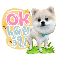 Iamnook_20211127091514