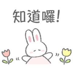 親切寶貝兔 3