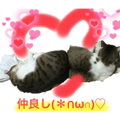 maeju___20211127172549