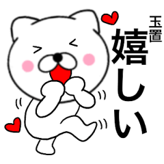 Name cat Tamaki