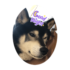 jack_20211127210049
