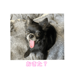 yuina_20211128013940