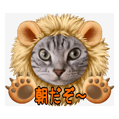 hana_20211128054408
