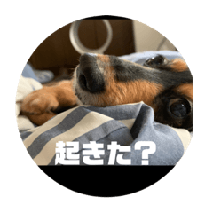 yukari_20211127220904