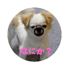 miki_20211127223608