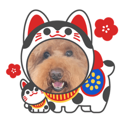 ayumi_20211127225719