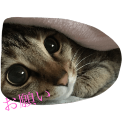 NARU love