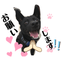 jinjin_20211128074436