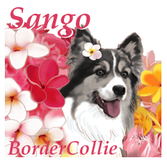 Sango Border Collie Stickers