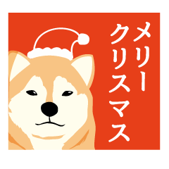 お洒落な犬のクリスマス