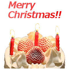 Merry christmas cake