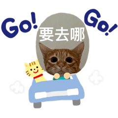 妮仔的表情包2.0