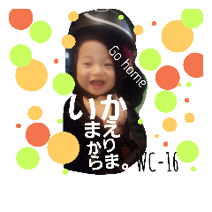 TAROs life2