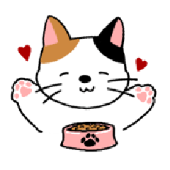 Smiley bicolor cat