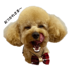 nanami_20211128164941