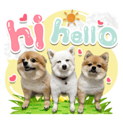 Iamnook_20211128093420