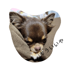 miyuu_20211128170308