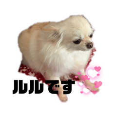 Yuka_20211128170626