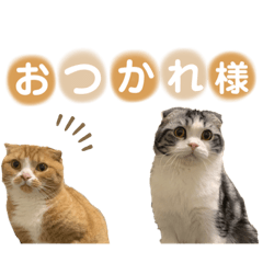 arisa_20211128173229