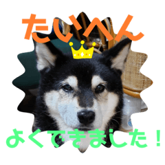Omochi_20211128181416