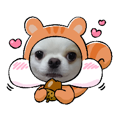 miki_20211128185320
