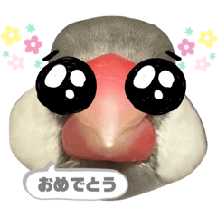 Matsu_20211128231211