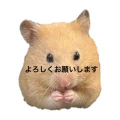 aoi_20211129015629