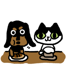 Funny DOG&CAT