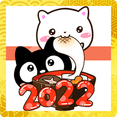 Very cute black and white cats New year