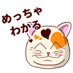 heart-patterned cat/kansaiben