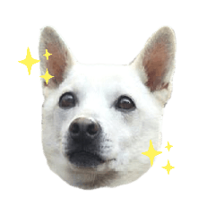 eririn_20211128160104