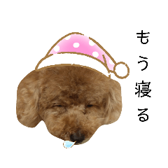 Runa_20211128172908