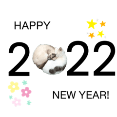 2022 Japanese new year cat stamps