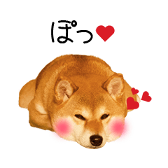 Shibainu YUDU Animation Sticker