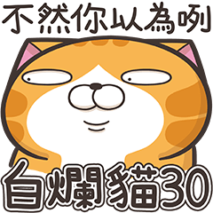 白爛貓30☆超愛演☆