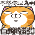 白爛貓30☆超愛演☆