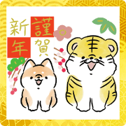Shiba Inu Dog <The Year of the Tiger>