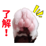 ARANKUN Sticker2