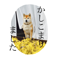 azuchan stamp