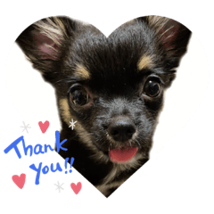 yukari_20211129091106