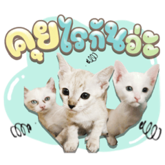 Iamnook_20211129023143