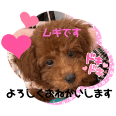 hana_20211129161938