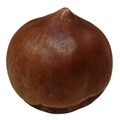 Food Series : Some Chestnut