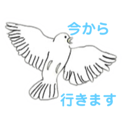 ponzu_20211129165430
