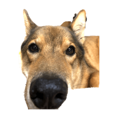 KAZUKI_20211129173237