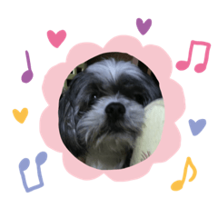 tomomi_20211129230421